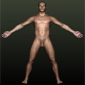 male anatomy link